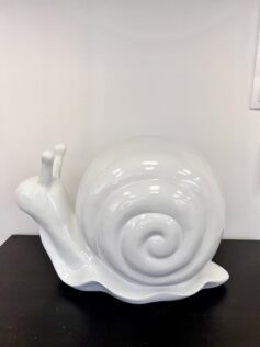 ESCARGOT BLANC
